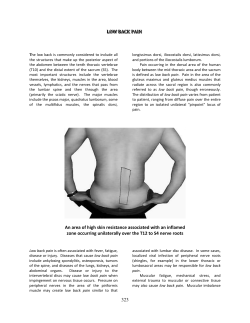 323 LLOOWW BBAACCKK PPAAIINN An area of high skin