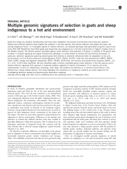 Multiple genomic signatures of selection in goats and sheep