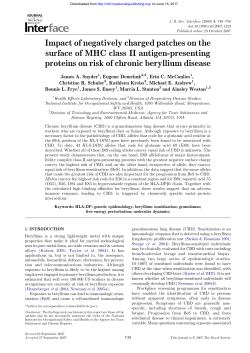Impact of negatively charged patches on the surface of MHC class II