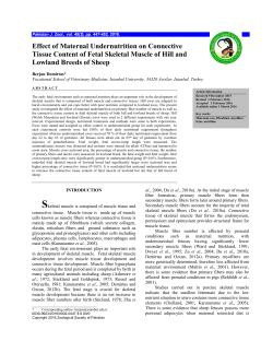 Effect of Maternal Undernutrition on Connective Tissue Content of