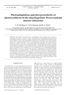 Full text in pdf format