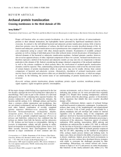 Archaeal protein translocation