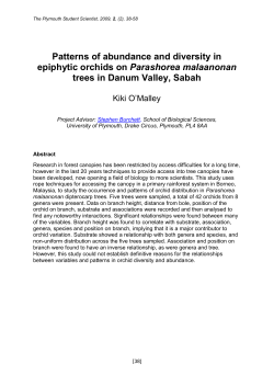 Patterns of abundance and diversity in epiphytic orchids on