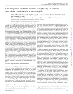 Counterregulation of clathrin-mediated endocytosis by - AJP-Cell