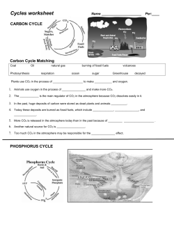 90a cycles worksheet - Renton School District