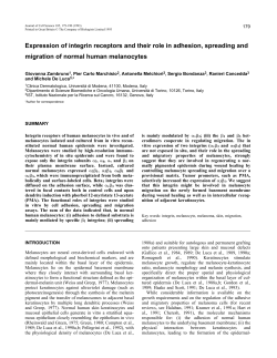 Expression of integrin receptors and their role in adhesion