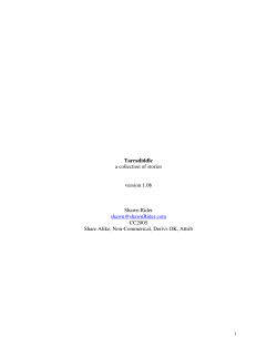 Tarradiddle A connected set of stories set in a small