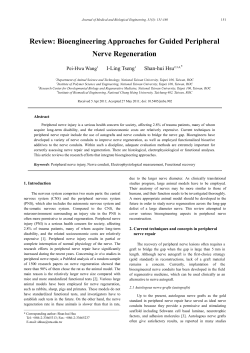 Review: Bioengineering Approaches for Guided Peripheral Nerve