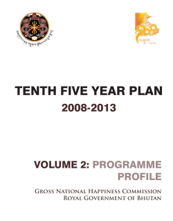 10th Plan Volume II - Gross National Happiness Commission