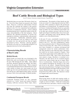 Beef Cattle Breeds and Biological Types