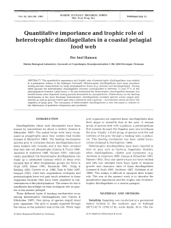Quantitative importance and trophic role of heterotrophic