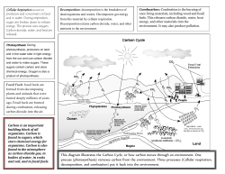 Decomposition: decomposition is the breakdown of dead organisms