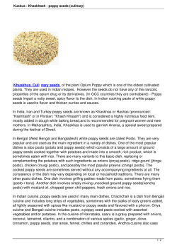 Kuskus - Khaskhash - poppy seeds (culinary)