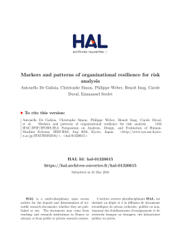 Markers and patterns of organizational resilience for risk analysis
