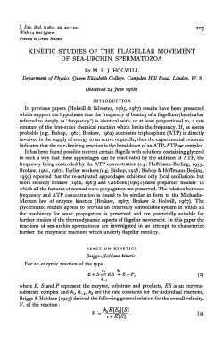 kinetic studies of the flagellar movement of sea