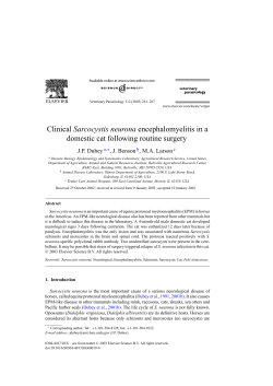 Clinical Sarcocystis neurona encephalomyelitis in a domestic cat