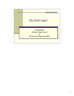 Chapter 16 - Powerpoint