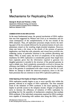 Mechanisms for Replicating RNA - DNA Replication and Human