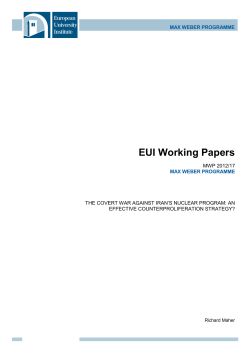 MWP WP Template 2012 - European University Institute