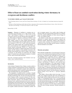 Effect of heat on cambial reactivation during winter dormancy