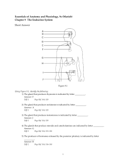 Essentials of Anatomy and Physiology, 9e (Marieb)