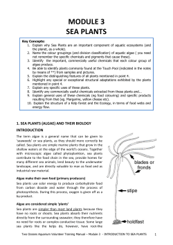 An Introduction to Seaweeds