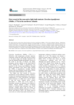 First record of the non-native light bulb tunicate