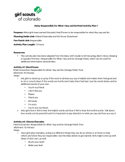 Daisy Responsible for What I Say and Do Petal Activity Plan 1