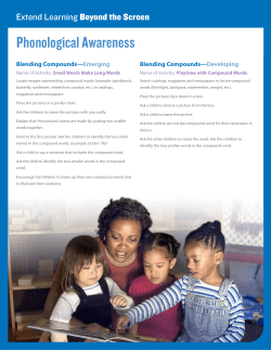 Phonological Awareness