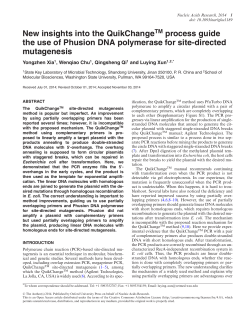 process guide the use of Phusion DNA