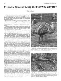Predator Control: A Big Bird for Wily Coyote?