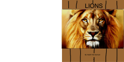 Lions &ndash; 3rd grade
