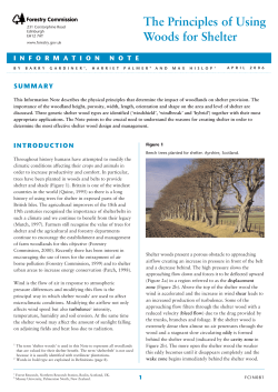 The Principles of Using Woods for Shelter