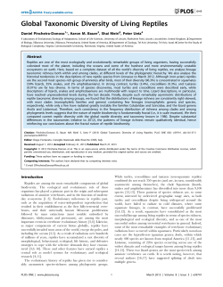 Global Taxonomic Diversity of Living Reptiles