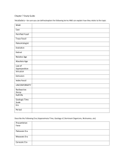 Chapter 7 Study Guide Mold Cast Petrified Fossil Trace Fossil