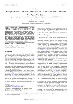 Aquaporin water channels: molecular mechanisms for human