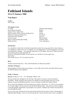 Falklands 08 trip report - The Travelling Naturalist