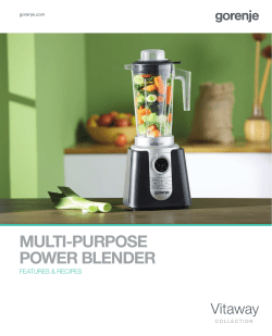 multi-purpose power blender