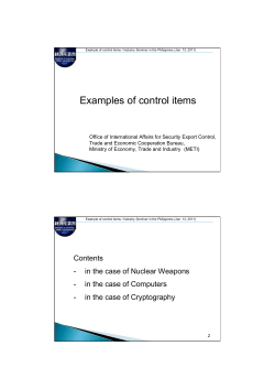 Examples of control items