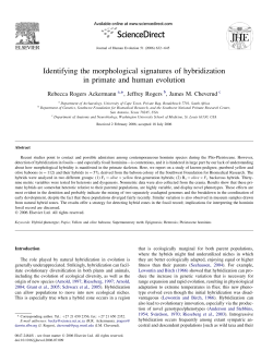 Identifying the morphological signatures of hybridization
