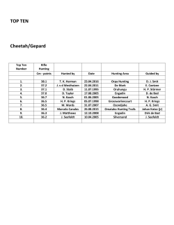 TOP TEN Cheetah/Gepard