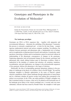 Genotypes and Phenotypes in the Evolution of Molecules