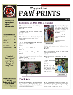 the newsletter