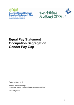 Equal Pay Statement, Occupational Segregation and