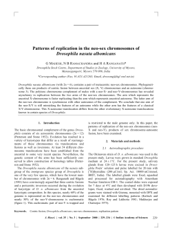 Patterns of replication in the neo-sex chromosomes of Drosophila