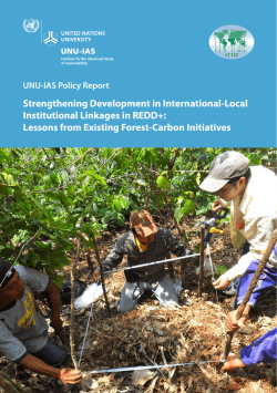 Strengthening Development in International-Local