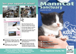 Mann Cat Sanctuary