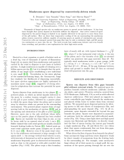 Mushroom spore dispersal by convectively