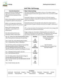 Unit Title: Cell Energy