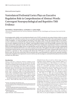Ventrolateral Prefrontal Cortex Plays an Executive Regulation Role